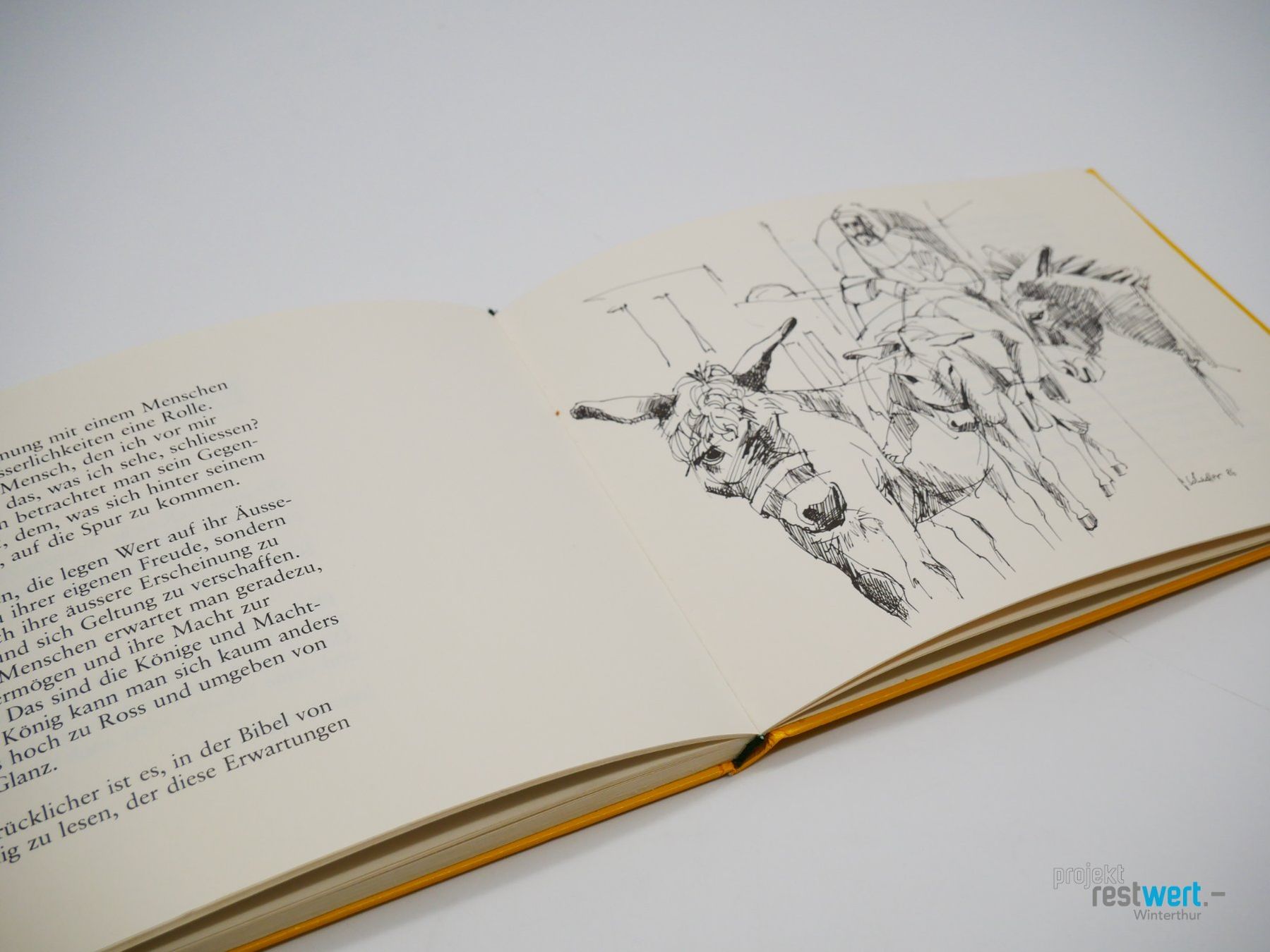 Libri: ELISABETH R. WEBER - Sinnbilder der Schöpfung – Usato da Winterthur venduto da Restwert_Winterthur 6