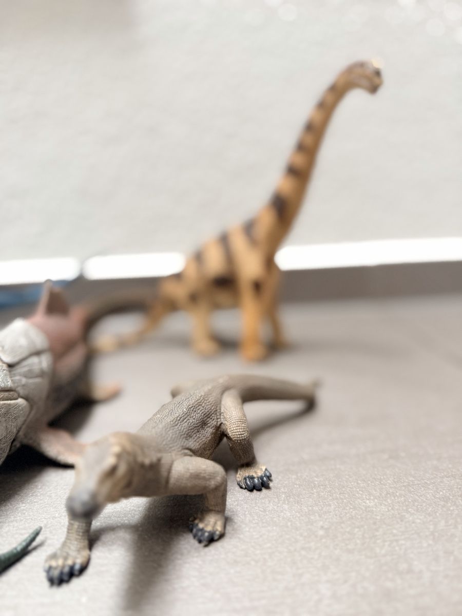 Schleich Statuette: Dinosaurier Schleich  Tieren set  – Usato da Goldau venduto da mira221 8