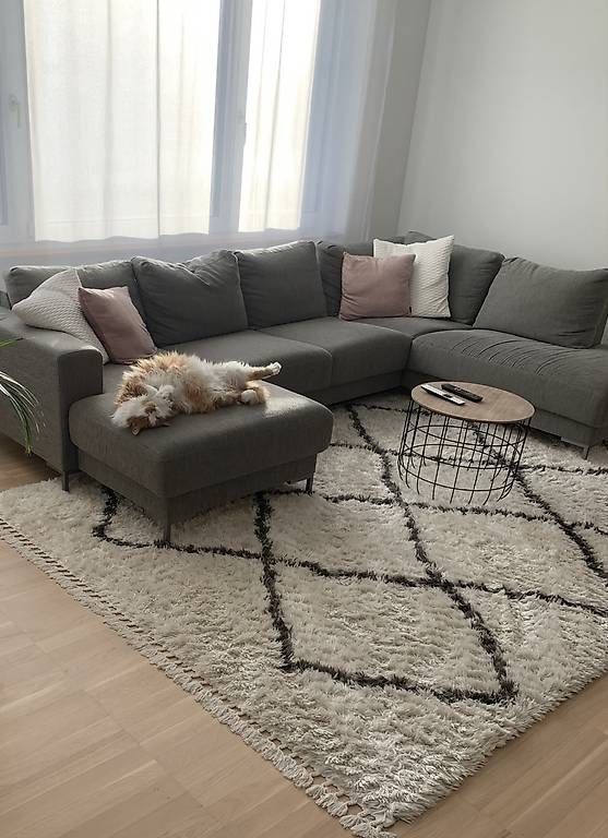Tappeti: Hochflorteppich 200x290 – Usato da Wabern venduto da VanessaN90 1