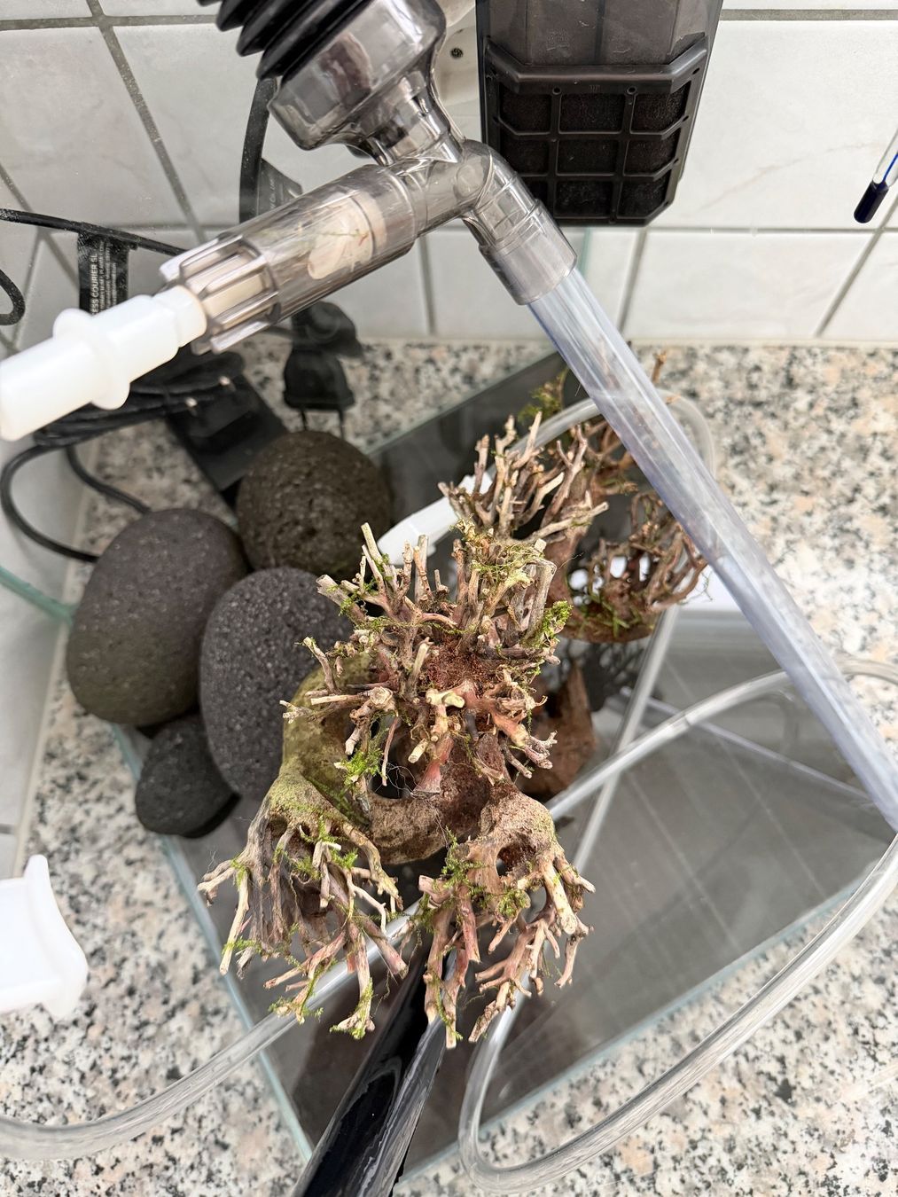 Dennerle Acquari: Nano Cube Complete, 30 L – Usato da Walenstadt venduto da mdr_jl6h 3