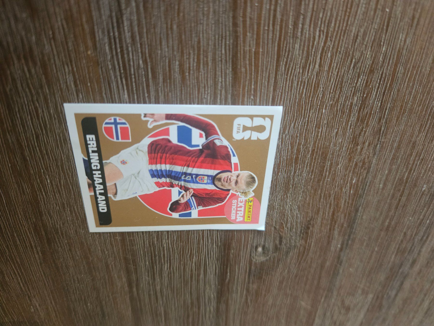 Panini Carte collezionabili: Panini extra Sticker Erling Haaland Bronze – Usato da Zizers venduto da fab_mz8m 2