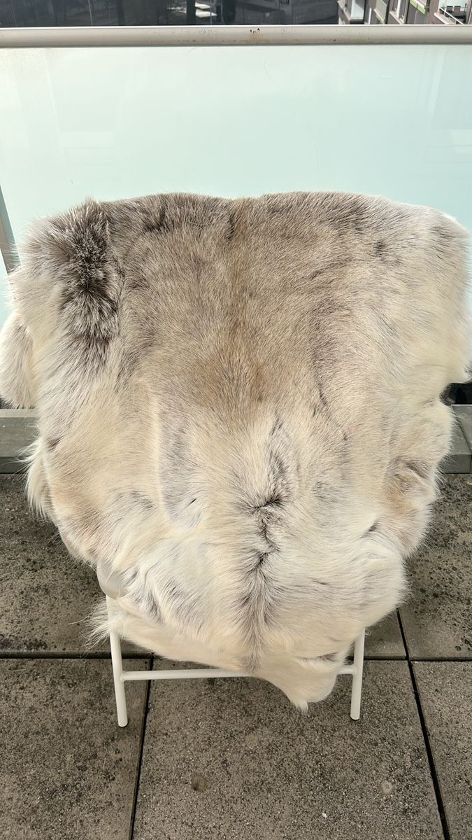 Alle Dekorationen: Soft Reindeer Hide, Perfect Winter Decoration – Gebraucht aus Genève von Noemie.wrmsi