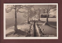 DAVOS - Skipromenade - 1928