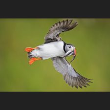 Profile image of luk_2s97