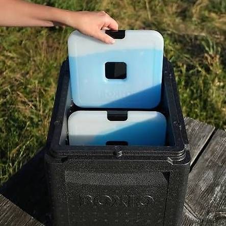 Frigoriferi & Refrigeratori: Boxio Cool mit 2 Kühlelementen und Eissack – Usato da Villnachern venduto da eis_y7kf 1