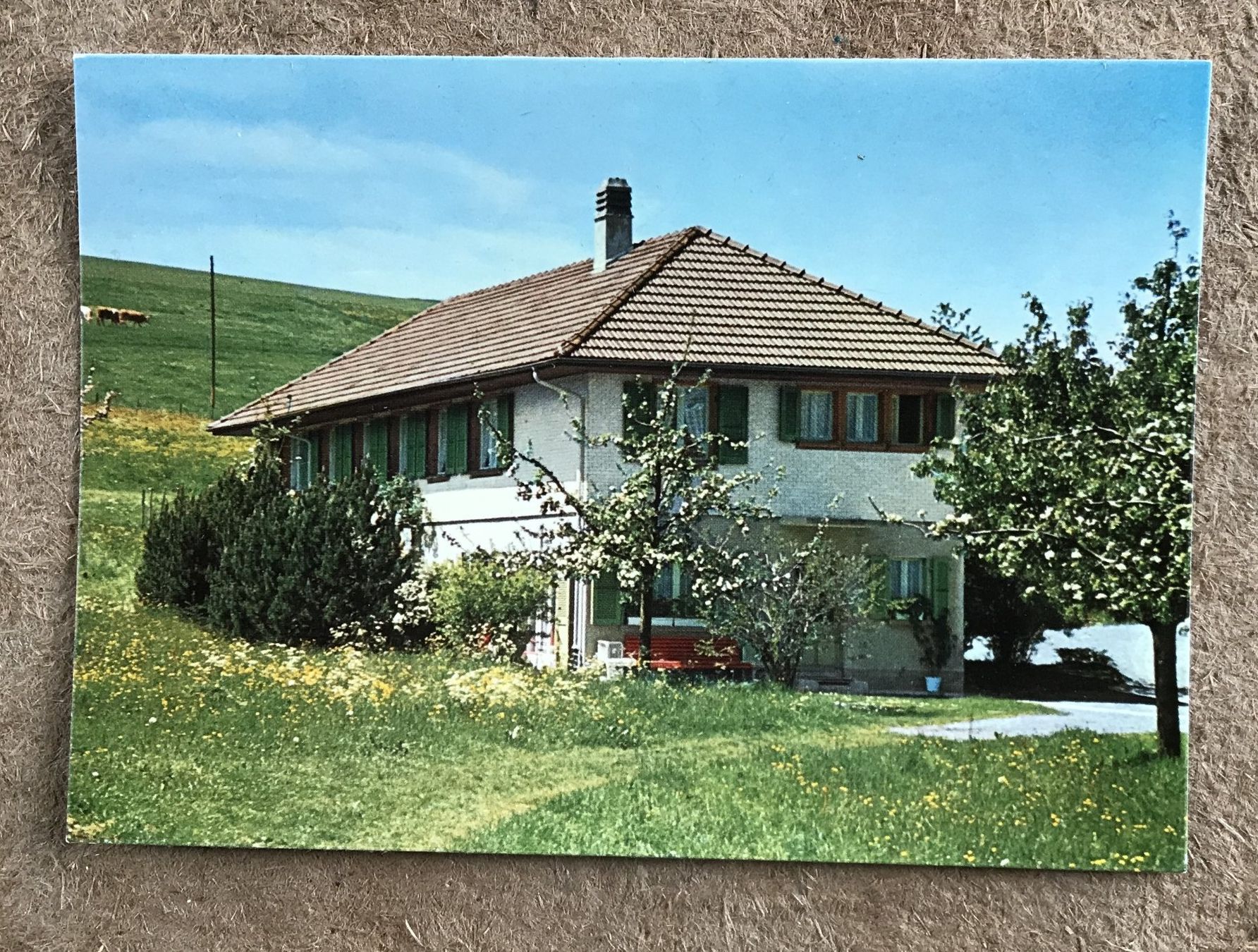 Cartoline postali: ANSICHTSKARTE FERIENHEIM WALDRAND 3087 NIEDERMUHLERN BE – Usato da Ostermundigen venduto da wini63