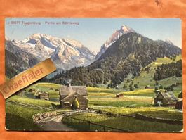 1913 Toggenburg, Partie am Säntisweg