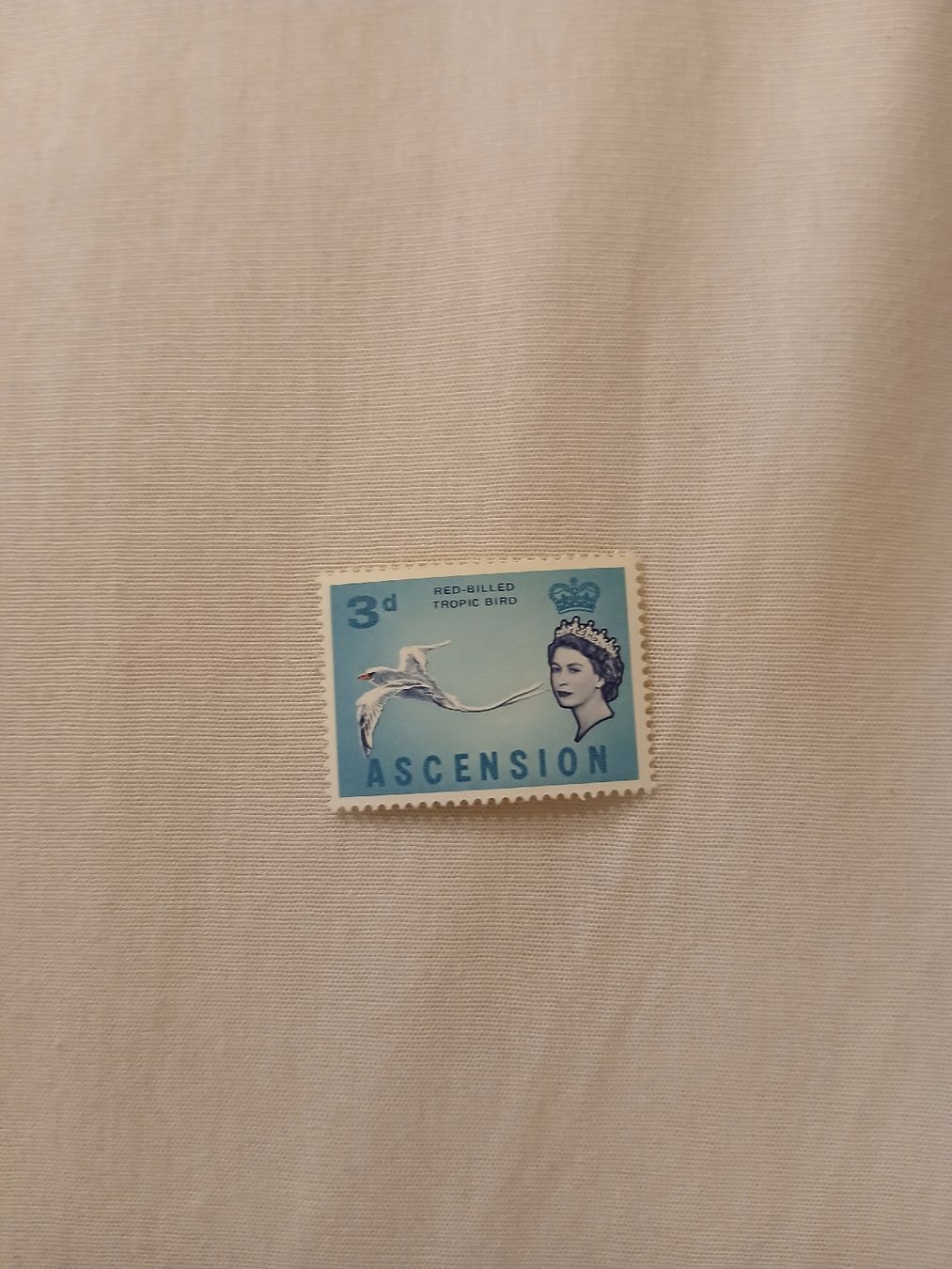 Tutti i francobolli: Timbre Ascension, Reine Elisabeth II, 3d, Oiseau rare – Nuovo (secondo la descrizione) da Marly venduto da globetrotter1723