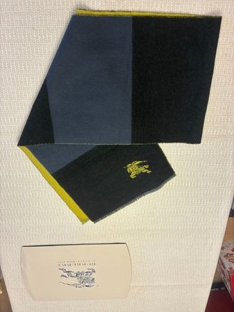 Original Burberry Schal 3 farbig