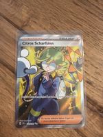 Citros Scharfsinn 229/191 | SSP (Surging Sparks)