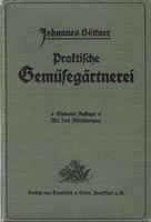Praktische Gemüsegärtnerei 1913