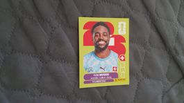 Panini Sticker WM 2026 - SUI 3