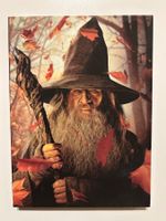 LE HOBBIT (UN VOYAGE INATTENDU)