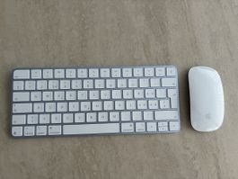 Apple Maus und Tastatur vom iMac blau