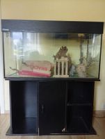 Aquarium mit Unterbau (leicht defekt) und Pumpe