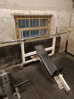 GYM 80 Schrägbank