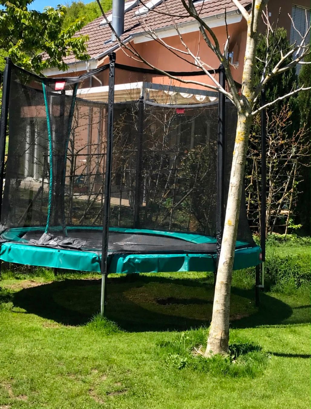 Trampolini: Berg Trampolin Champion 330 cm – Usato da Hersberg venduto da sempex72
