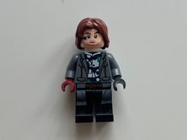 Lego Jurassic World - Rainn Delacourt - jw077