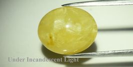 3,22  ct Opale œil-de-chat jaune naturelle