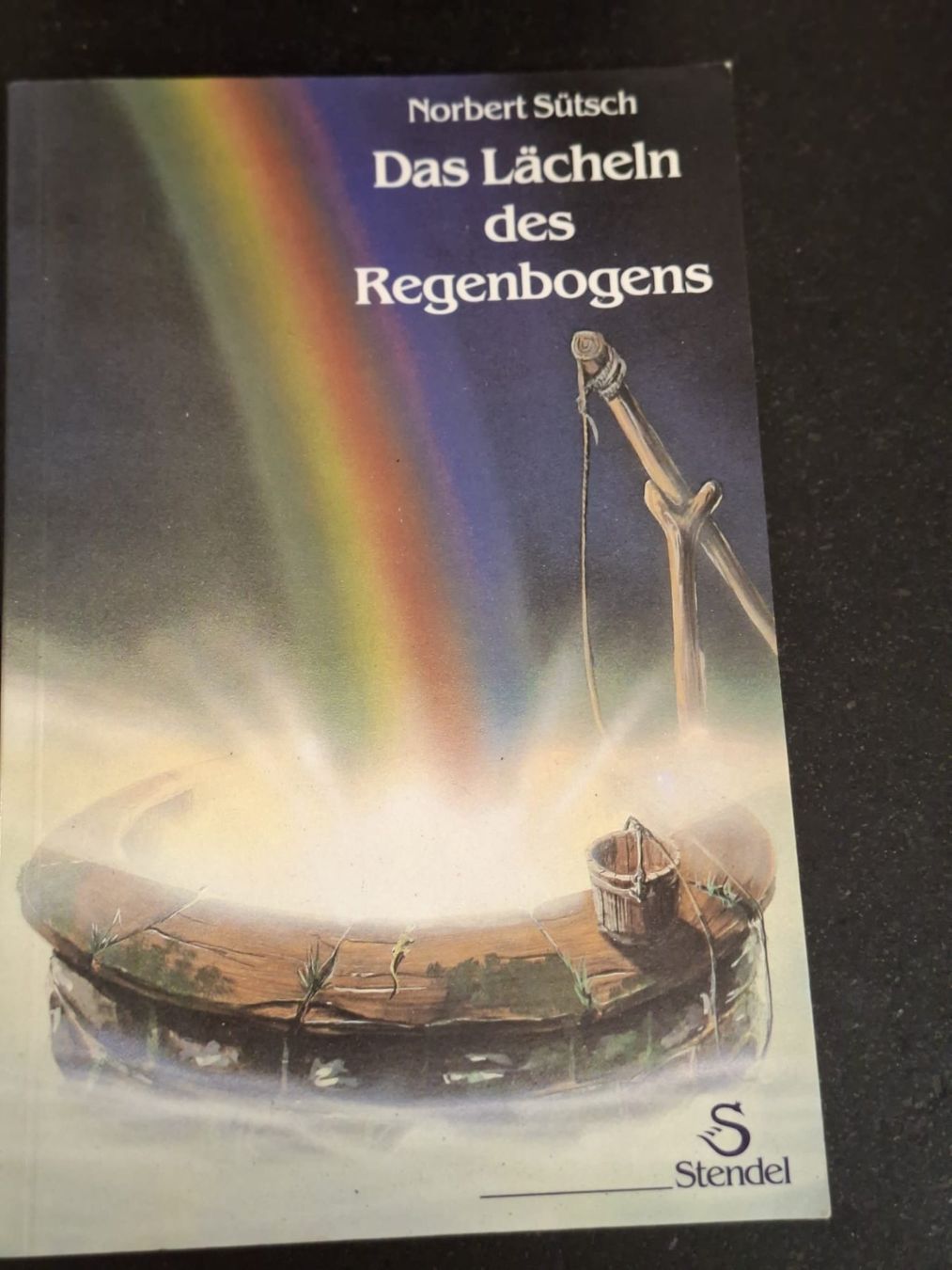 Libri: Buch "Das Lächeln des Regenbogens" Norbert Sütsch – Usato da Krauchthal venduto da SamsPuce