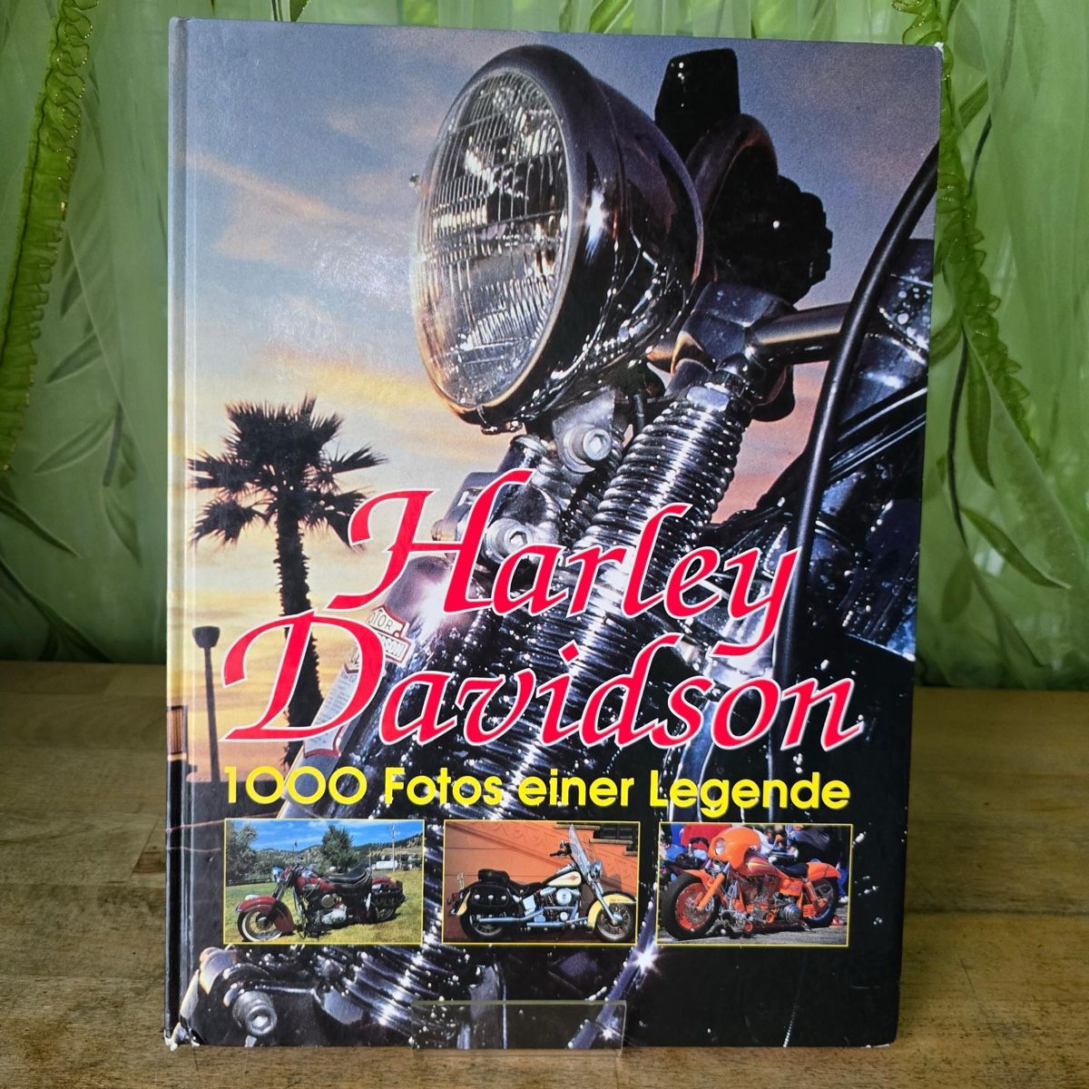 Libri: Harley Davidson Buch – Usato da Merlischachen venduto da Sheavy