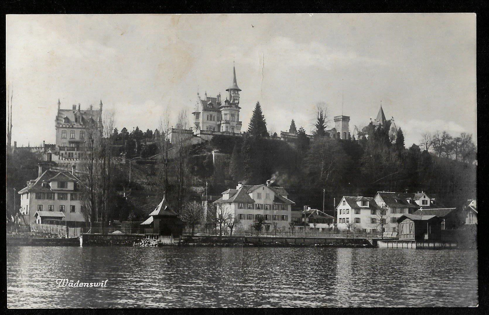 Cartoline postali: Wädenswil Aussicht vom See aus – Usato da Olten venduto da clotaldi