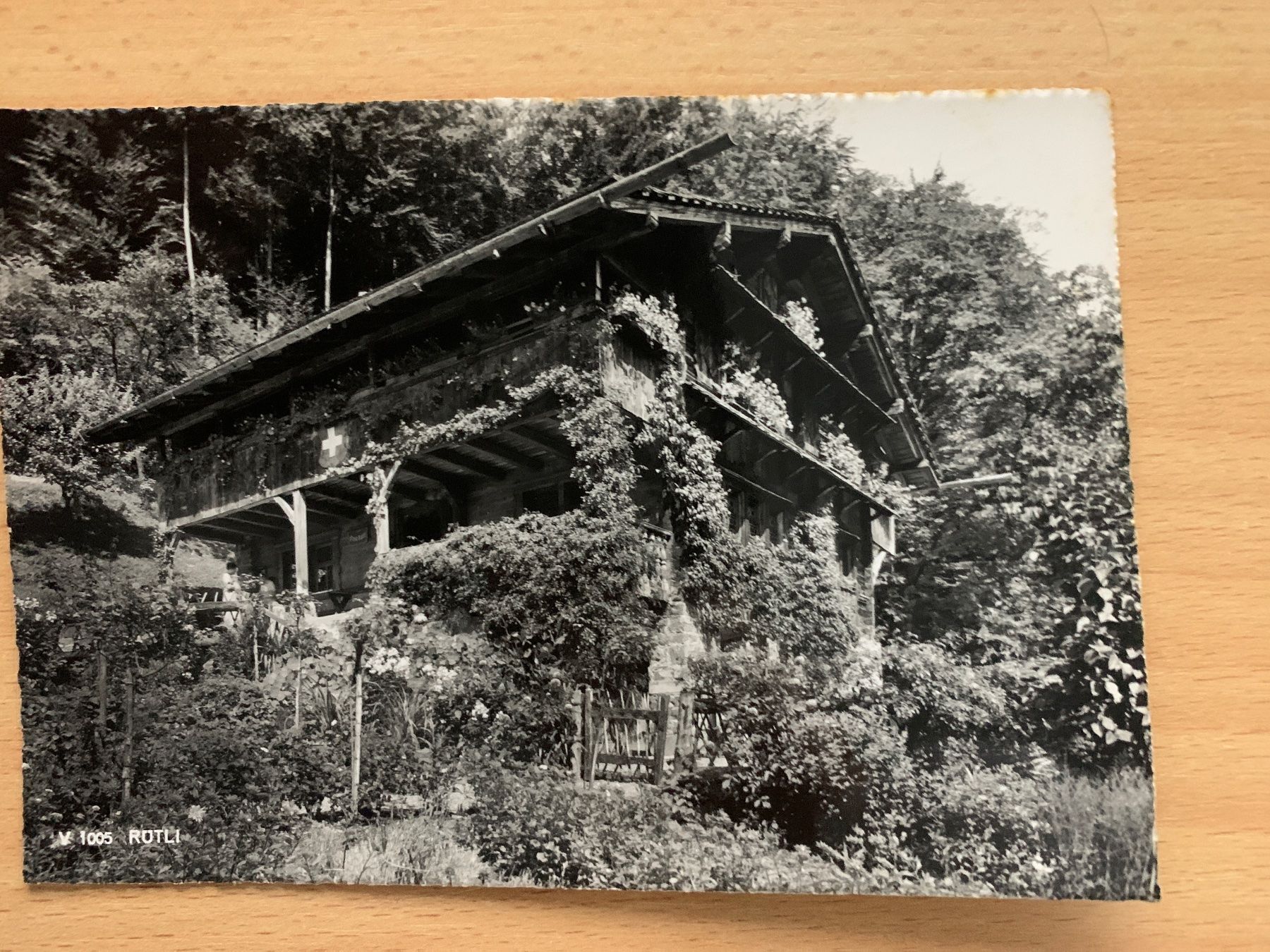 Cartoline postali: ANTIKE ANSICHTSKARTE RÜTLI********* – Usato da Ibach venduto da lisch3