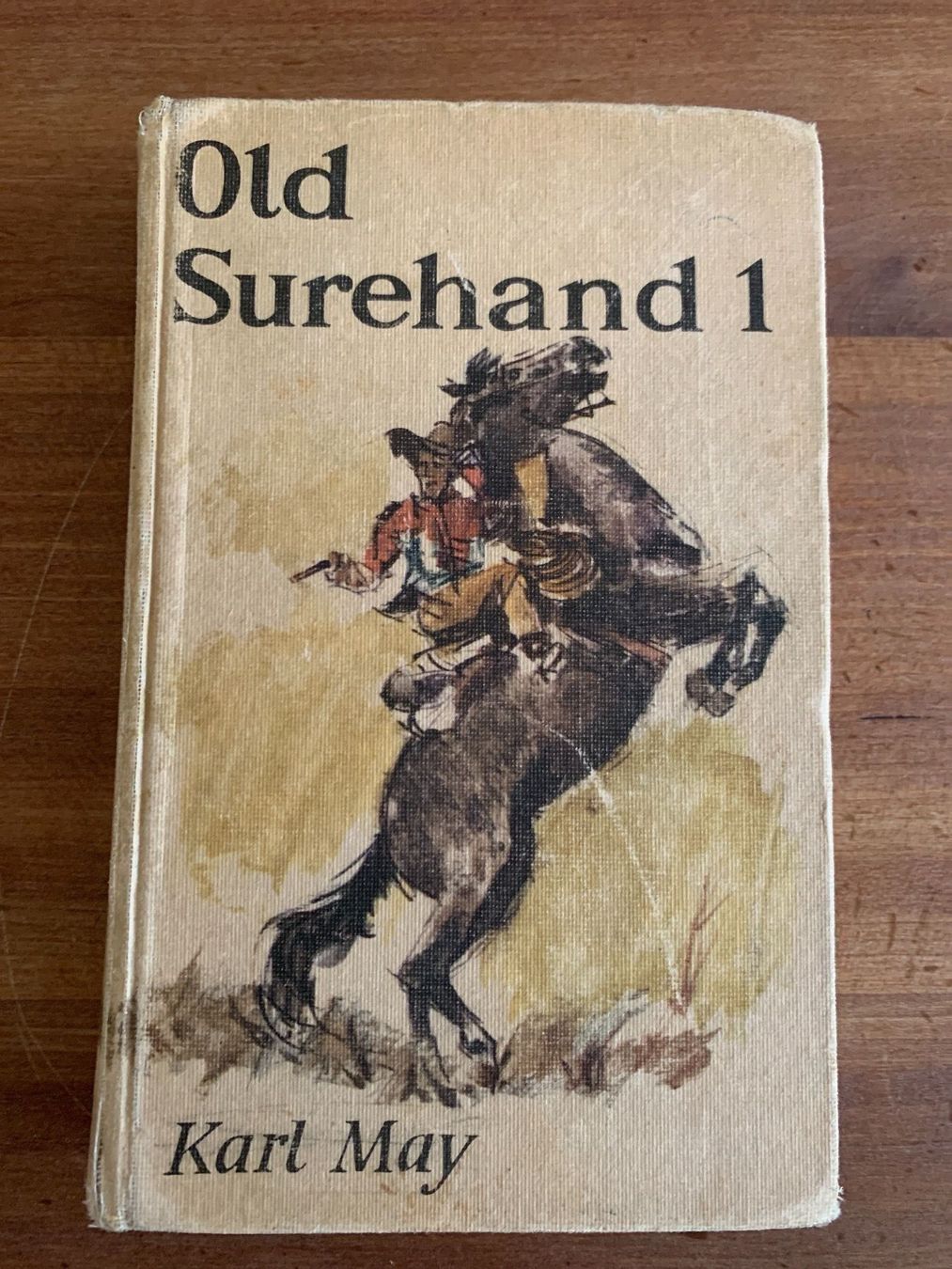 Libri: Karl May Buch antik – Usato da Udligenswil venduto da Trisha70