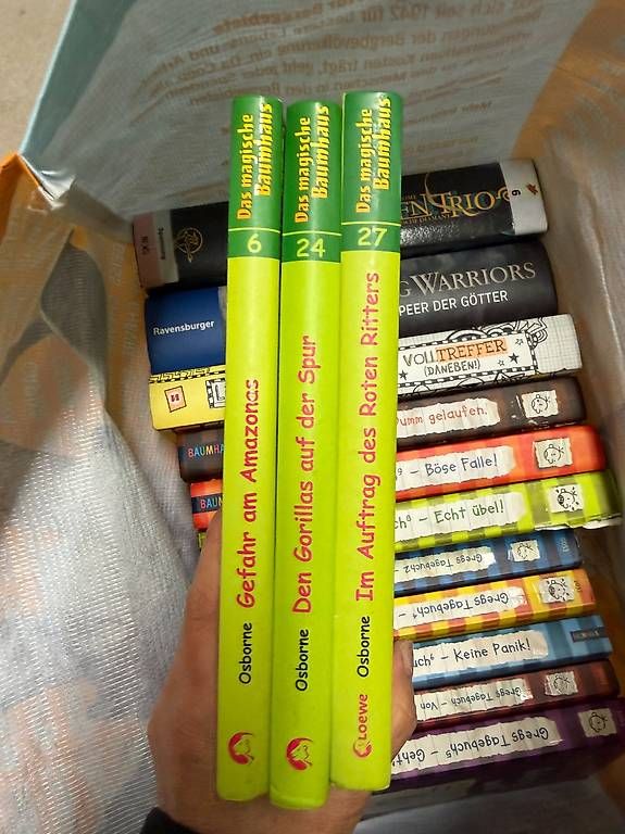 Libri: Kinder buchen  – Usato da Menzingen venduto da lua123 2