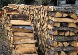 Bois de chêne avec livraison incluse – Prix imbattable 🇨🇭