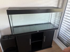 Aquarium 240L JUWEL mit Unterschrank und viel Zubehör