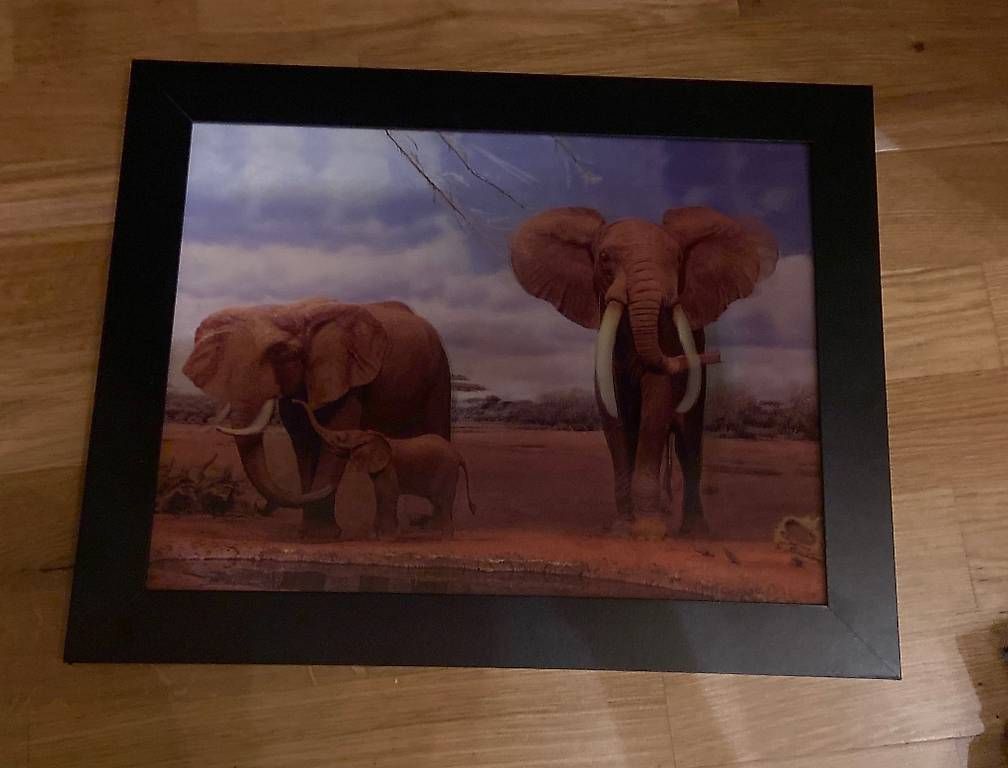 Tableaux: Tableau éléphants 3D  – D'occasion à Cugy VD par dianette81