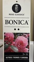 Rosenbaum Bonica