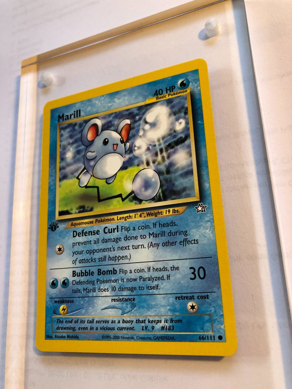 Carte collezionabili: Marill 1st Neo Genesis - MINT - ab 1.- – Usato da Giubiasco venduto da dan_pr8b 2
