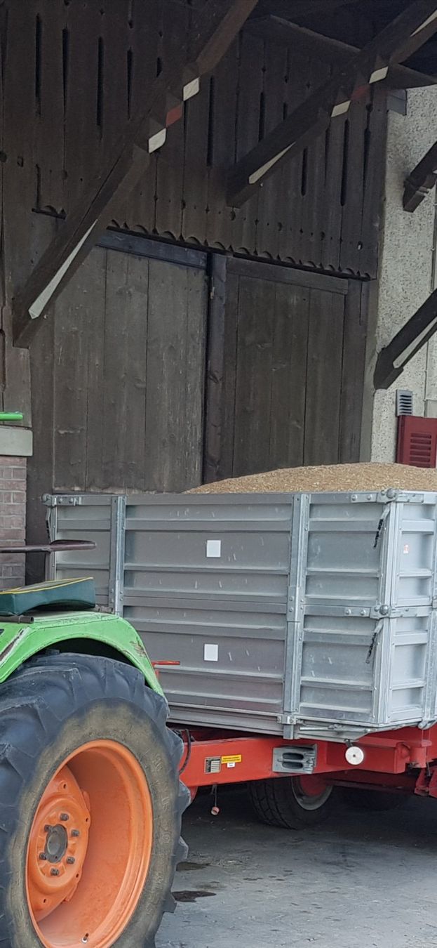 Rifugi: Tennstore antik – Usato da Wengi b. Büren venduto da Deutzd5206