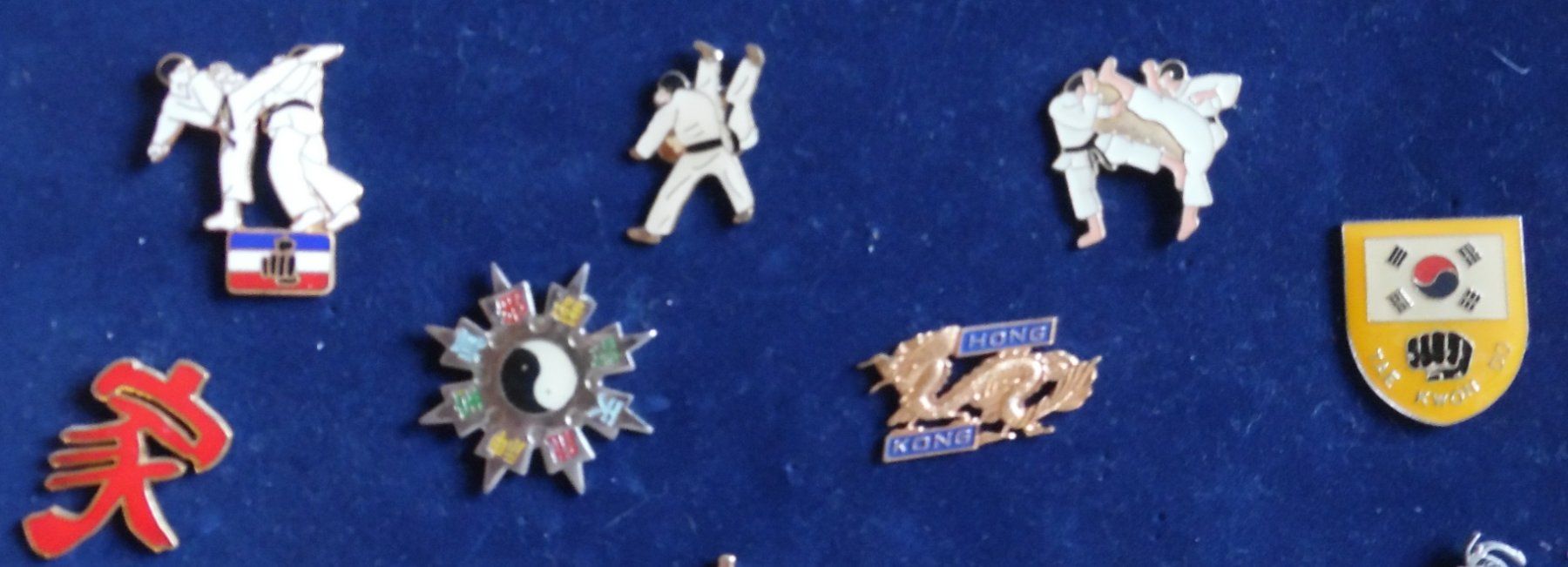 Placchette & Badge: Pin-Sammlung – Usato da Bellinzona venduto da Luna093 3