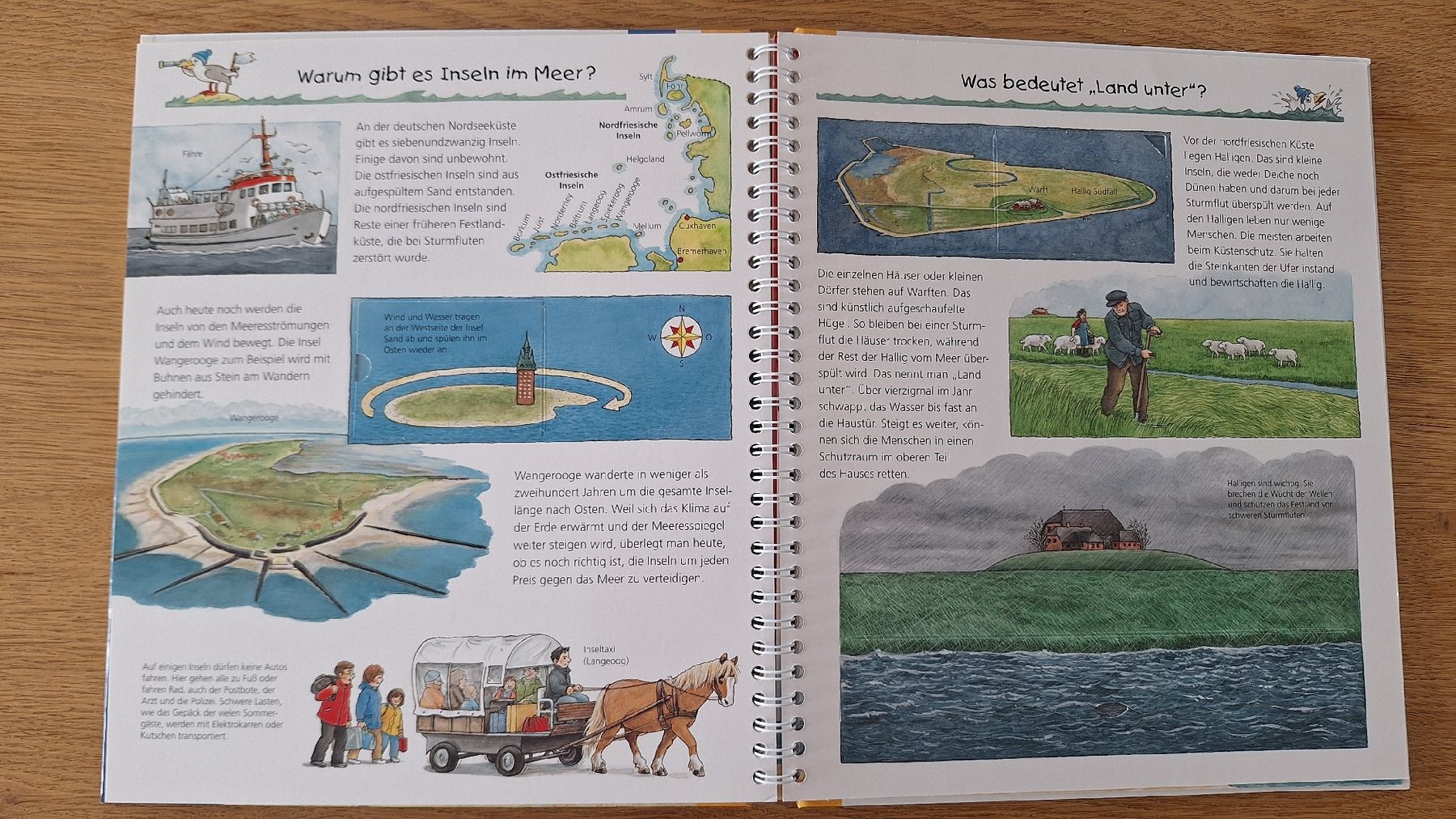 Libri: 2er Set "Wieso Weshalb Warum?": Meer & Schiffe – Usato da Oberkulm venduto da kar_jgx9 4