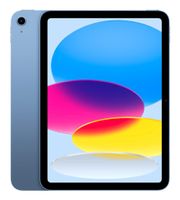 Apple iPad 10. Generation 256 GB Blau neuwertig