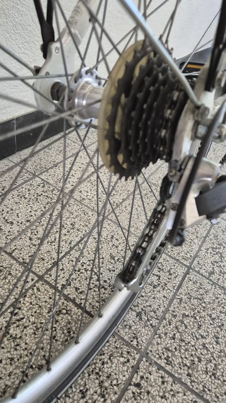 Biciclette: Damenvelo / vélo dames – Usato da Basel venduto da Cellostoffeli 3