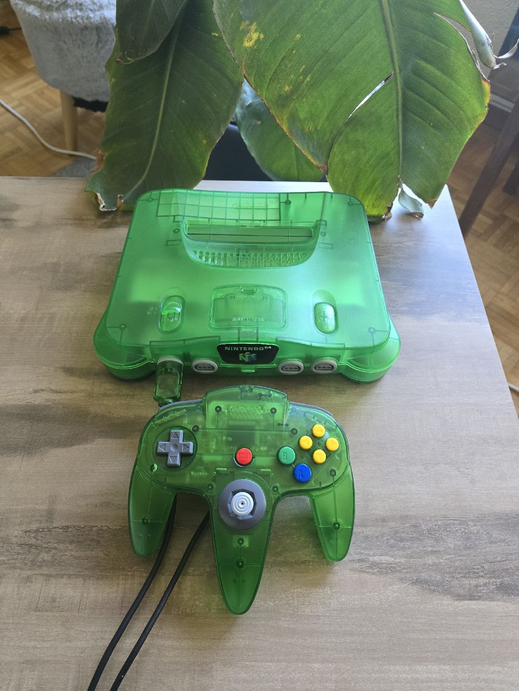 Nintendo Konsolen: Nintendo 64 Jungle  – Gebraucht aus Bôle von A_Kickstory 1