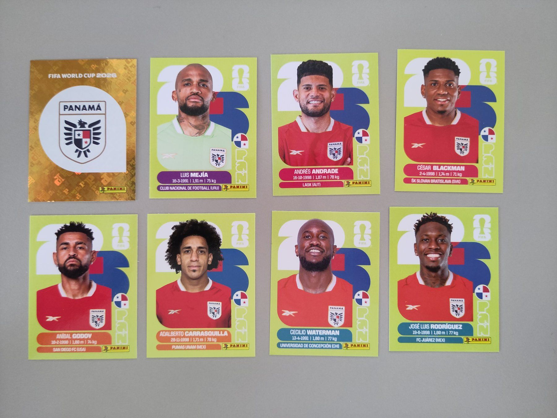 Panini Carte collezionabili: FIFA Panini Panama (PAN) – Usato da Bern venduto da gil_rkx8