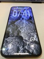 iPhone 13 Pro Max 256Go 