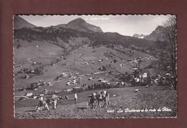LES DIABLERETS - Route du Pillon - Vaches - 1964