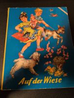 Antikes Kinderbuch 1950-1960 Auf der Wiese