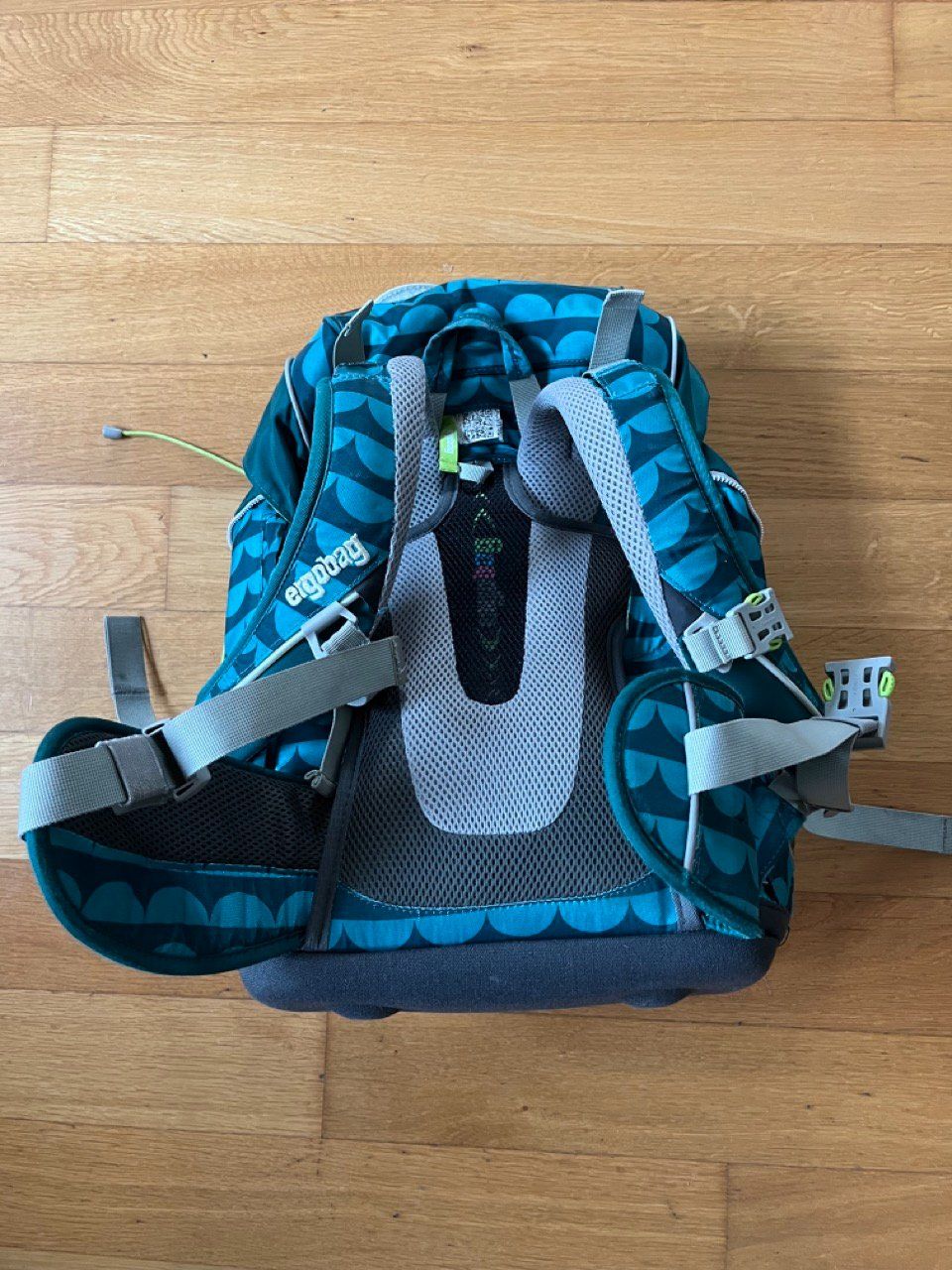 Ergobag Borse & Zaini: ERGOBAG "EISBÄR" FÜR DIE SCHULE.... – Usato da frick venduto da comi 1