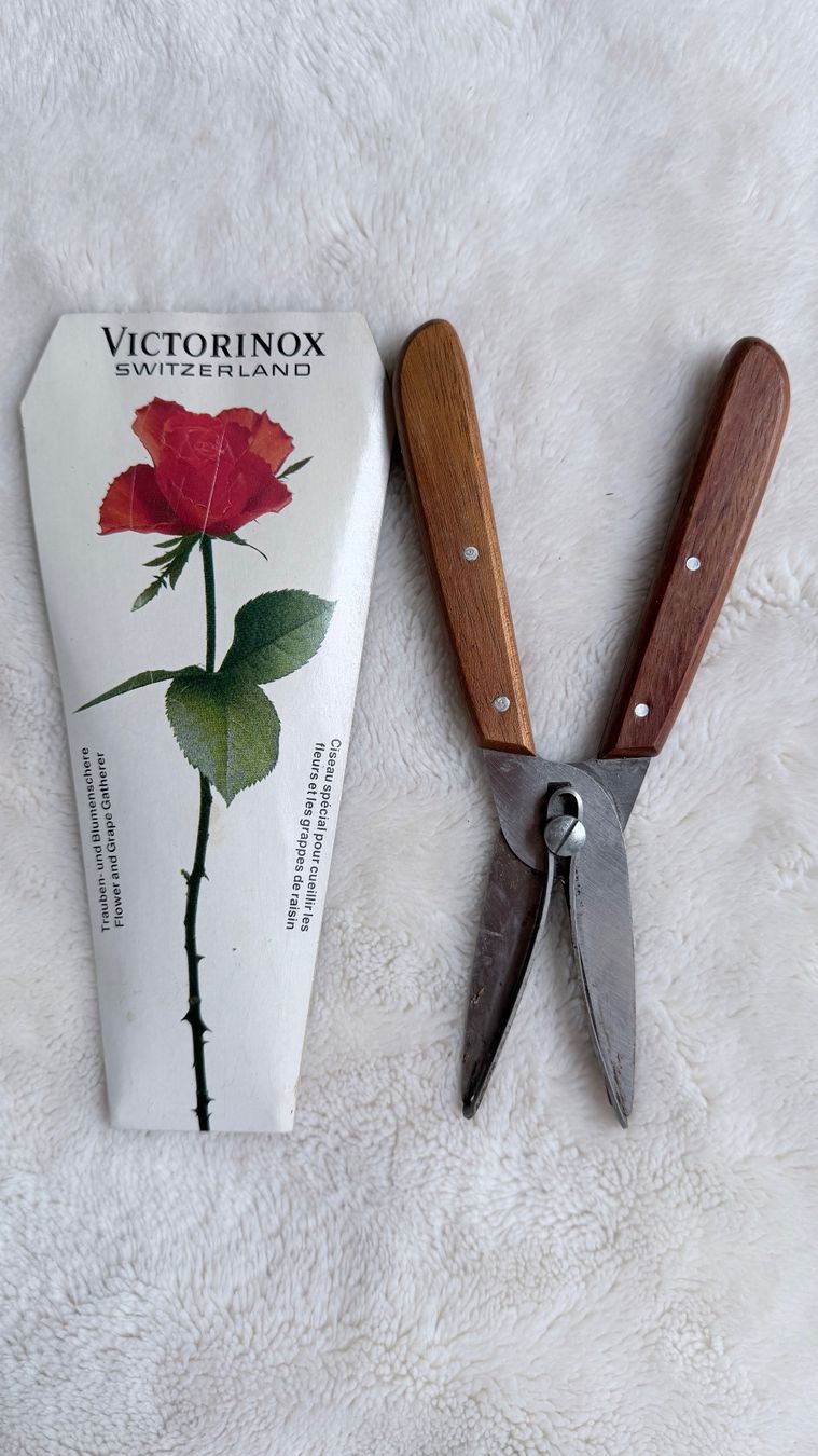 Victorinox Tutti gli attrezzi: Schere - Marke: Victorinox – Usato da Würenlos venduto da Abracadabra26 1