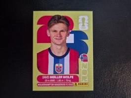 Panini WM 26 NOR 7