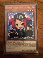 Yu-Gi-Oh! Karte - Fremdenführ. a. d. Unterwelt (BLGG-DE005)