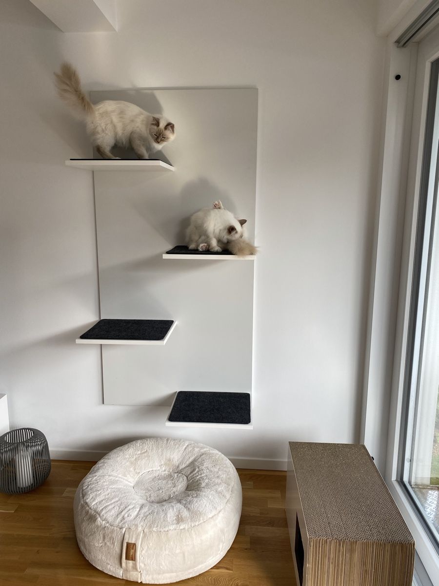 Tiragraffi: Katzenmöbel Wand mit Liegeflächen – Usato da Zürich venduto da ali_9qm9 1