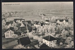 AK Grosswangen, Teilansicht im Rauhreif